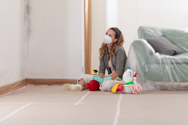 Reliable Mold Remediation contractor in Somerville, TX by Mold Remediation HQ